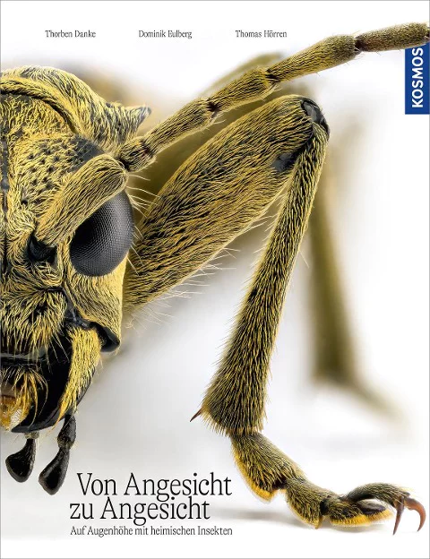 Buchcover Von Angesicht zu Ansicht